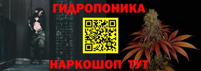 шишки Бузулук