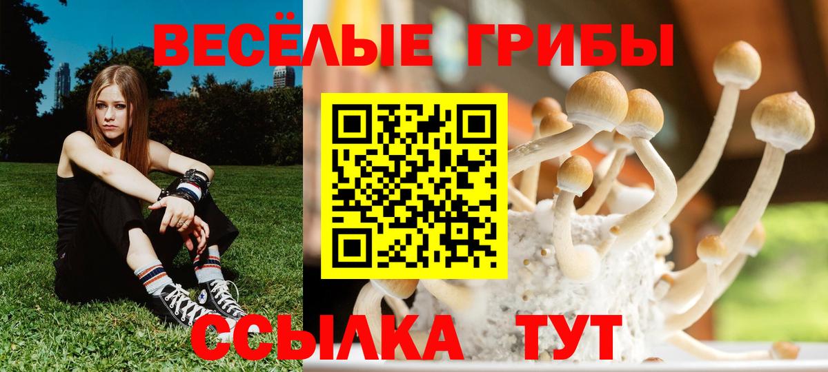 Амфетамин Красногорск