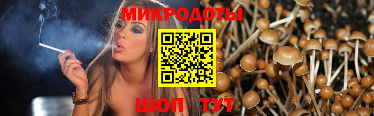 Красногорск  как найти закладки  Вход с VPN  Псилоцибиновые грибы Magic Shrooms 
