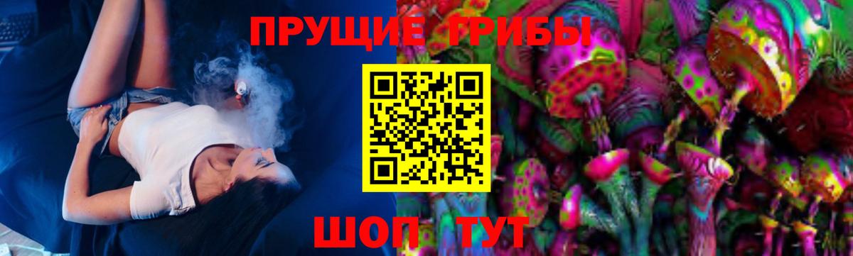 Псилоцибиновые грибы GOLDEN TEACHER Красногорск
